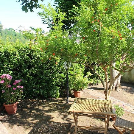 Le Coste Bed and Breakfast Veroli Exteriör bild